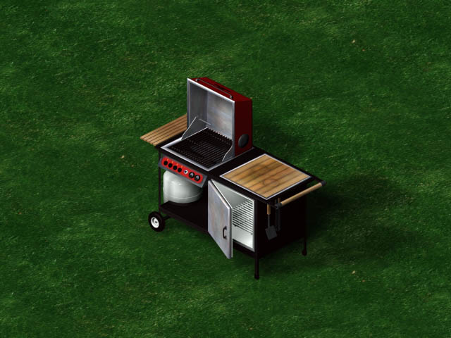 TS1_1998_IRK_VISDEV8.jpg