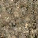 DungeonSiege-b_t_grs02_wal_04x04-a.png