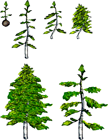 GiggleGangWT_PokeProd_JapanTree2.png GiggleGangWT_PokeProd_JapanTree2.png