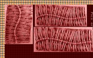 DevDoom1993-spine1_lbm.png