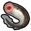 Dragon_Quest_Builders_2_Lamprey.png