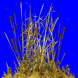 CSDS-Recoil_dmcgrassb.png_‎