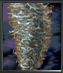 M&M6_icons_npc622.png