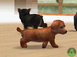 NintendogsMarch14-2005Screenshot13.jpg NintendogsMarch14-2005Screenshot13.jpg
