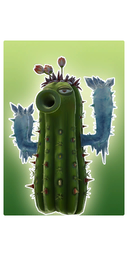 Ice Cactus Organics