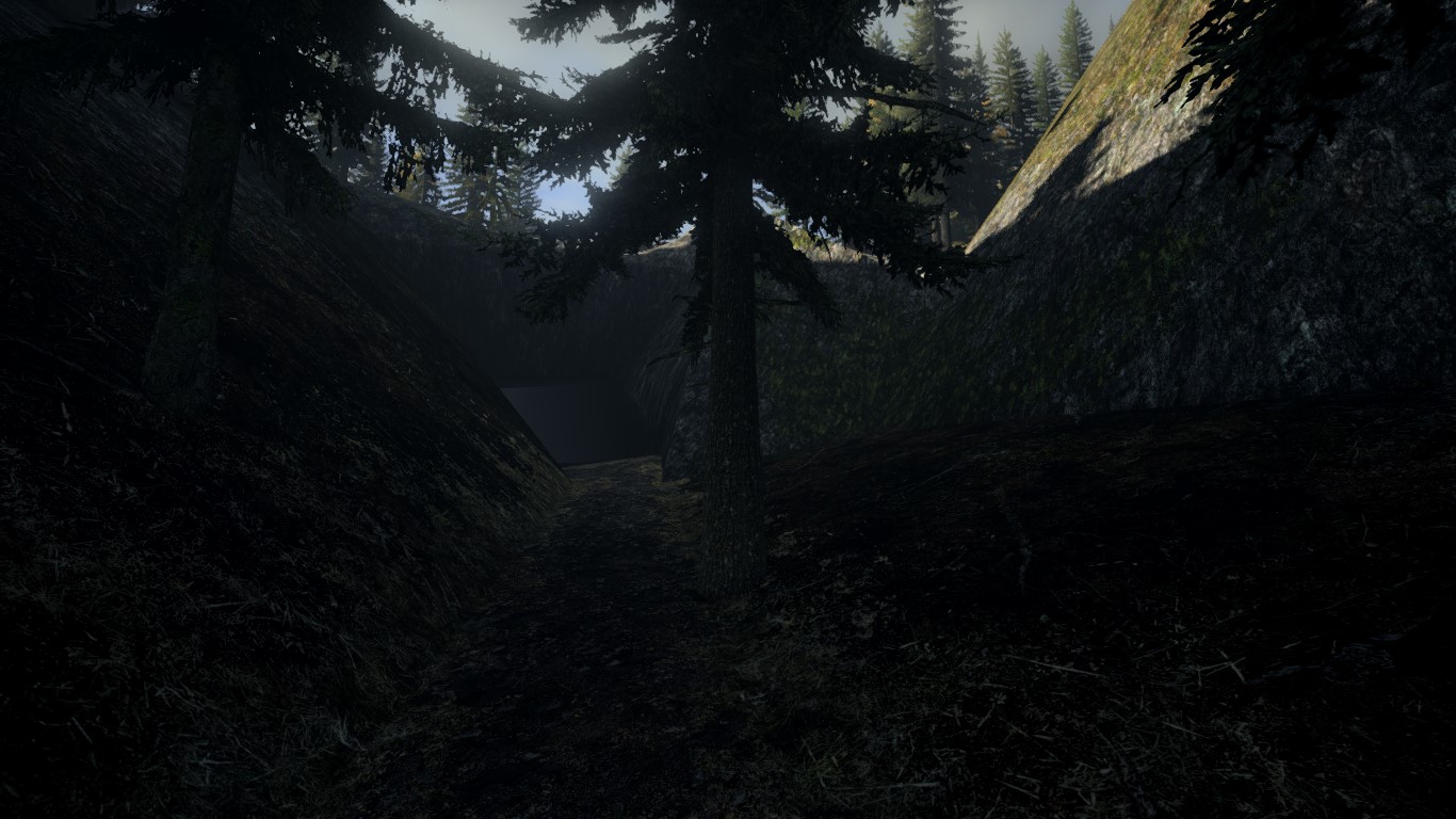The path leading to the cave, where an NPC could be saved The path leading to the cave, where an NPC could be saved