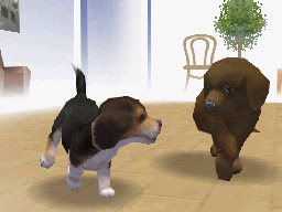 NDG_dog_beagle02.jpg NDG_dog_beagle02.jpg