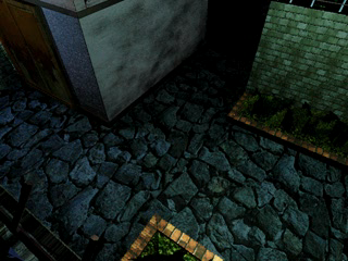 Bio_Hazard_Directors_Cut_ROOMA00_1.png