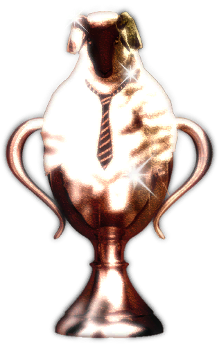 Catherine-Test-Trophy-Bronze.png