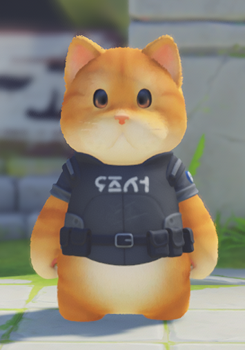 PA_machi_pol.png