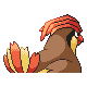 312PokeDPBackF17-0.png 312PokeDPBackF17-0.png