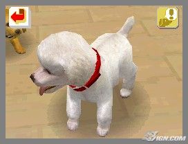 NintendogsFebruary2005Screenshot1.jpg NintendogsFebruary2005Screenshot1.jpg
