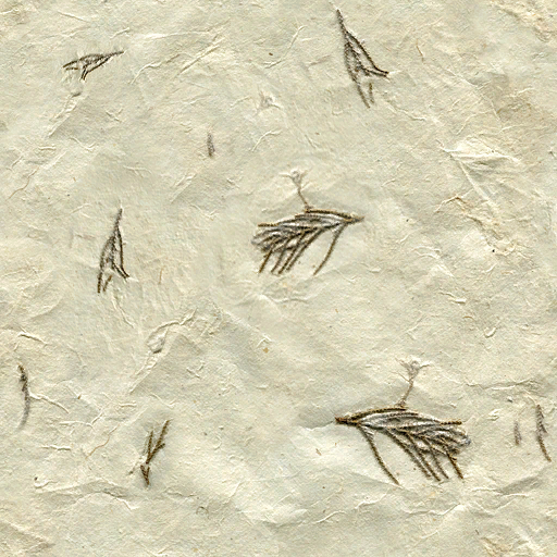 Lbp2finalMove_handmadepaper_diffuse.tex.png