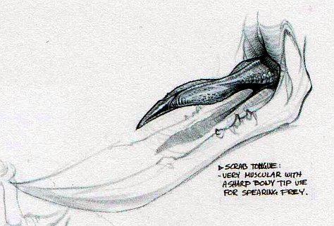 Artwork of a Scrab's tongue.