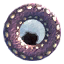 Sponge Sponge