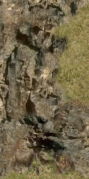 DungeonSiege-b_t_grs02_wal_04x08-c.png
