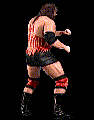 wwfwrestarc-A2PU3G.gif