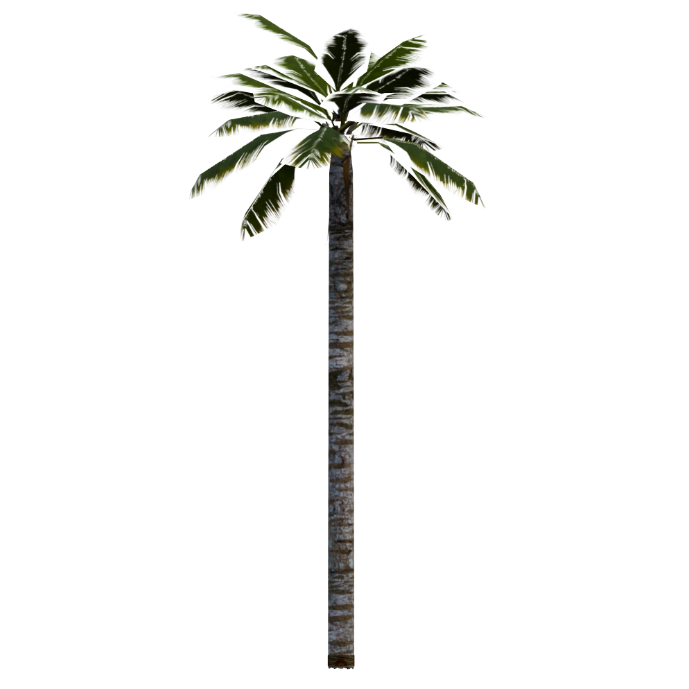 evl_obj_ky_steppalm_000.model evl_obj_ky_steppalm_000.model