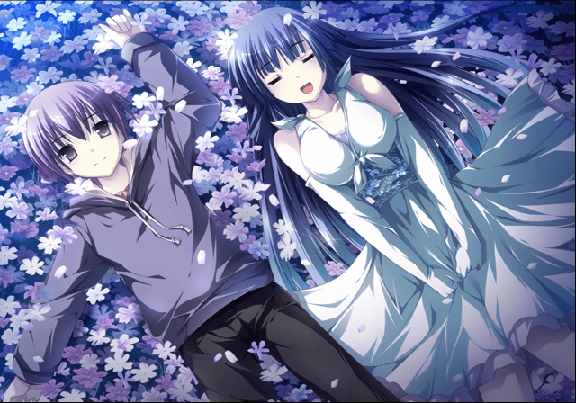 hana_to_otome_used2.png