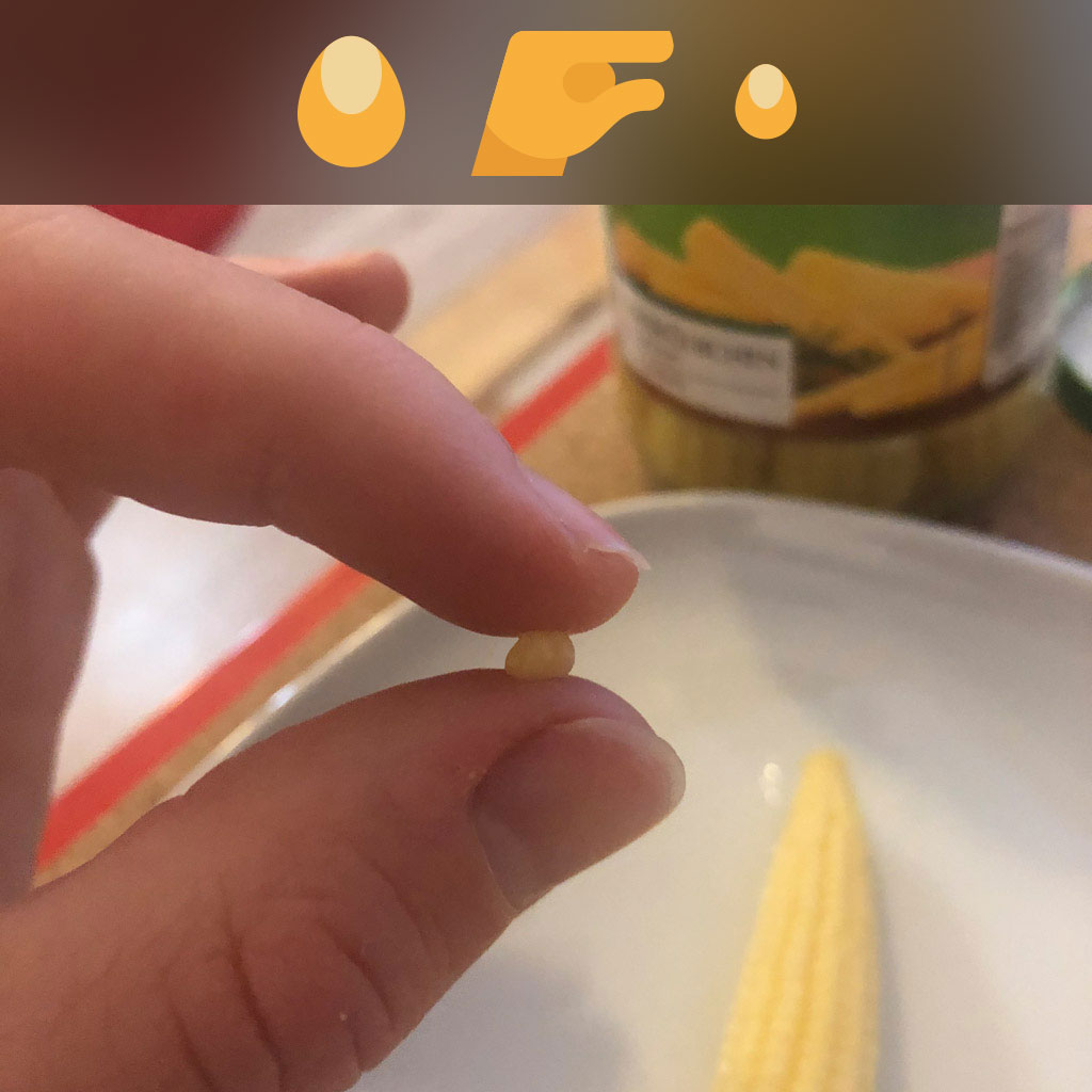 songofbloom-babycornF.jpg