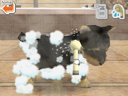 Ds_Nintendogs_ss_08.jpg Ds_Nintendogs_ss_08.jpg