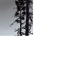 CMR04_ps2_demo_icons_fin_s5.png