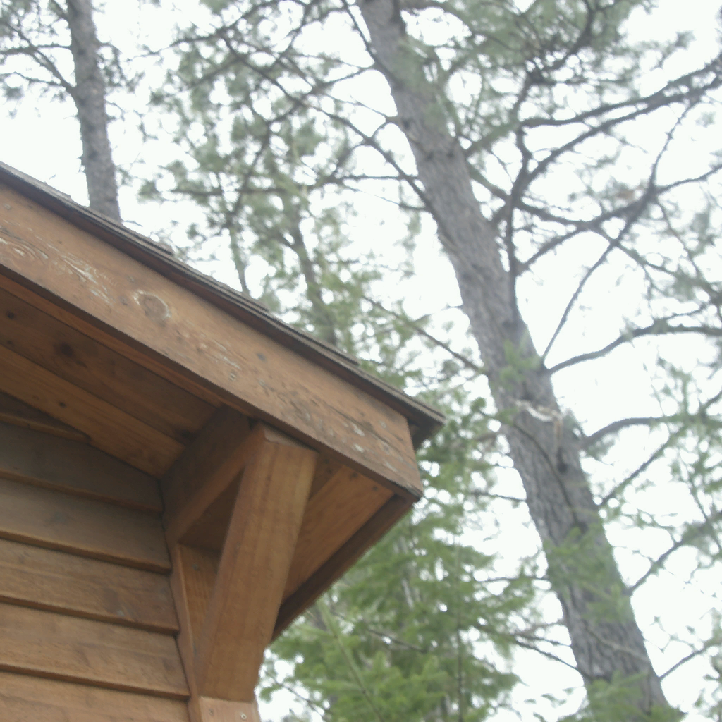 Cabin Cabin