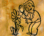 Naturalist Naturalist