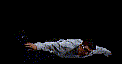 wwfwrestarc-J4FL4C.gif