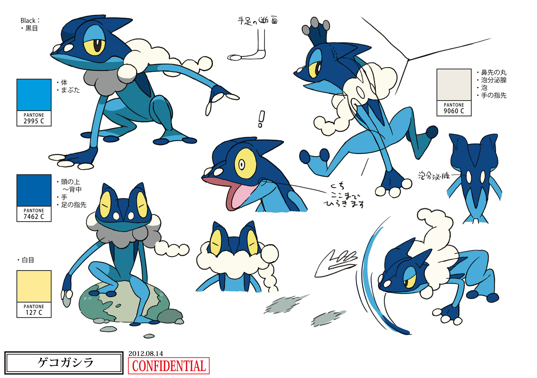 PokeXY_ConceptArt_ゲコガシラ_パントーン色指定.png
