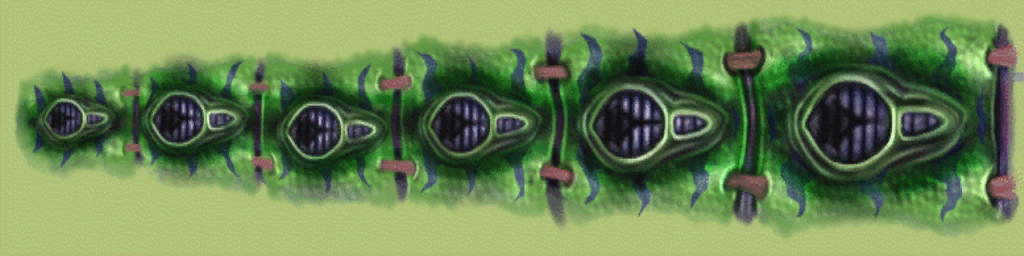Hls_tentacle_3_top1.png Hls_tentacle_3_top1.png