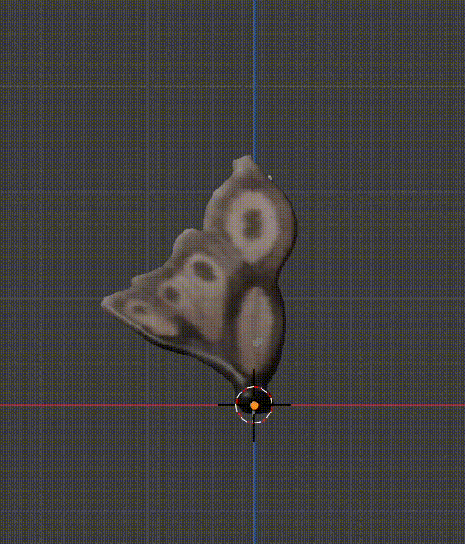 SPORE_0_Fauxry_wings_shape_key_1.gif