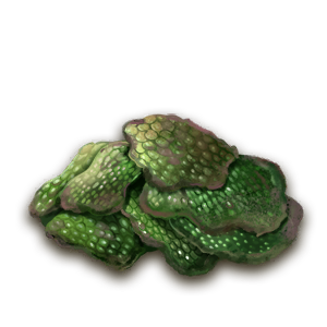 "Umami Moss"