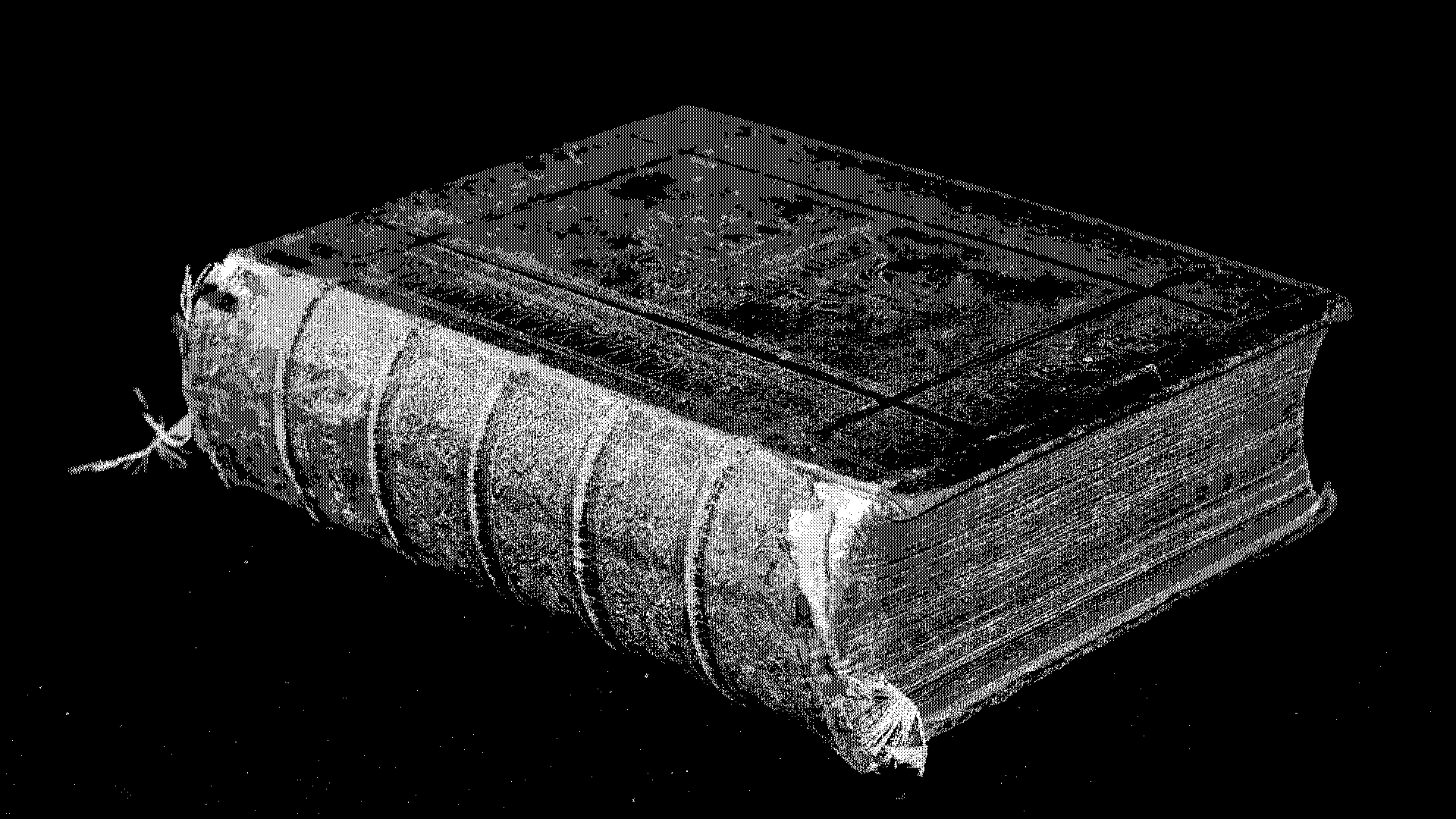 lbr_bookclose