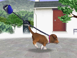 NDG_sanpo04.jpg NDG_sanpo04.jpg