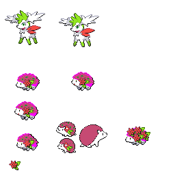 pmpl_516_frnt_flower_r4615.png pmpl_516_frnt_flower_r4615.png