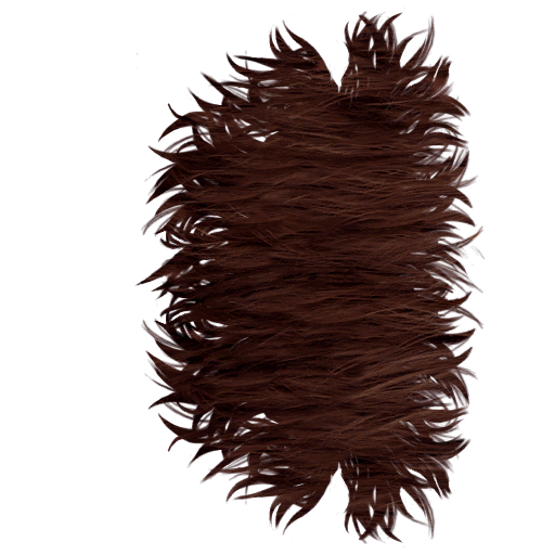 TSCS_orangutanhair-brown0_lifo_512x512.png