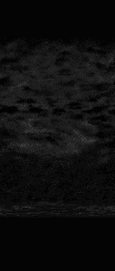 swapril97_0039.png
