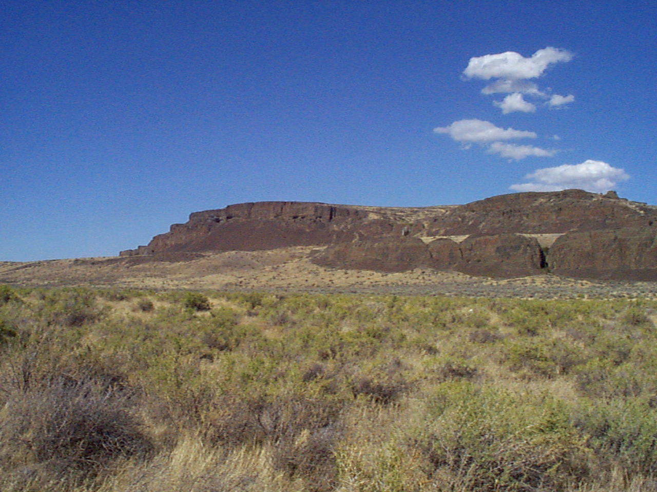 desert16 desert16
