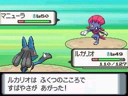 PKMNDP_Jul06_lucarioweavile2.jpg