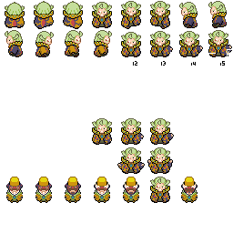 PokeBW_Overworld_sage1_r25496.png