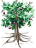RO_Removed_MastelaTree_Portrait.png RO_Removed_MastelaTree_Portrait.png