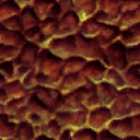 Maw texture 2. Maw texture 2.