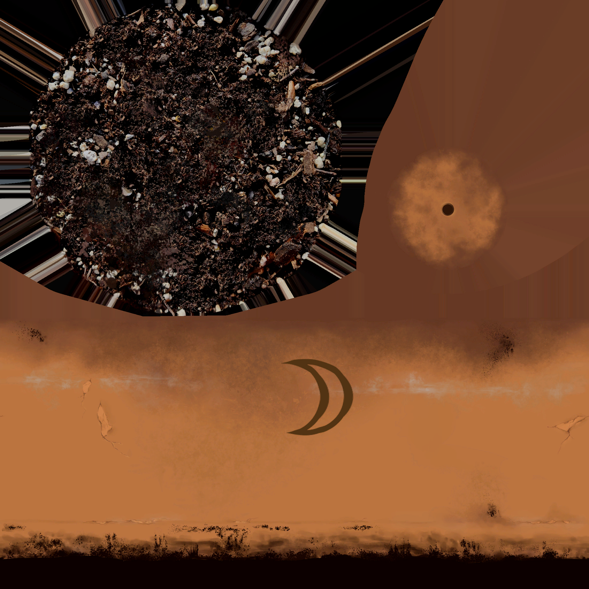 Amanda_1_Final_T_FlowerPot_Moon_Albedo.png