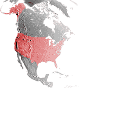 CMR04_ps2_demo_icons60_usa_map.png