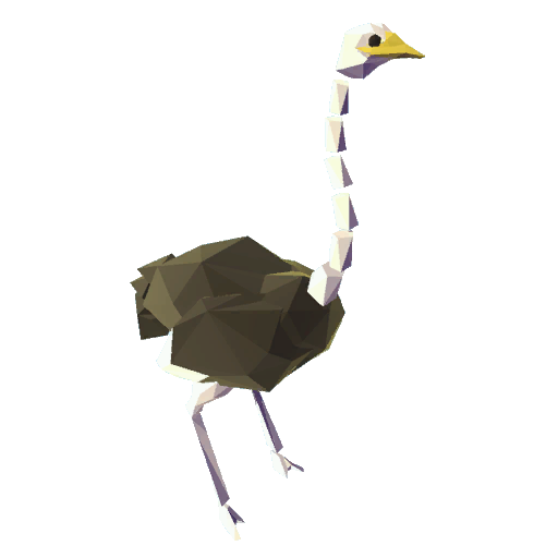 Ostrich Ostrich
