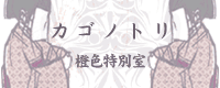 gfdmV-0910final.png