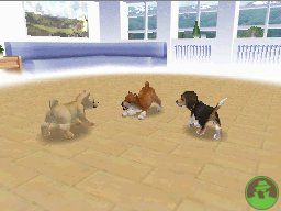 NintendogsJanuary2005Screenshot12.jpg NintendogsJanuary2005Screenshot12.jpg