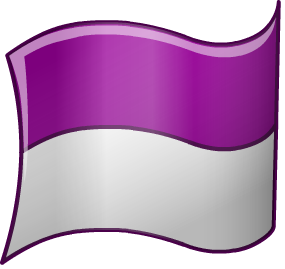 Flag 6 Flag 6