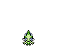 PMDEoTD_Celebi_Special0-Anim.gif PMDEoTD_Celebi_Special0-Anim.gif